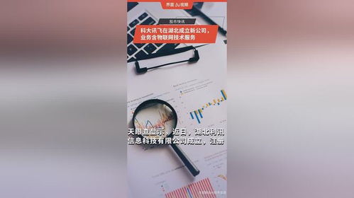 科大訊飛在湖北成立新公司，拓展物聯網技術服務版圖