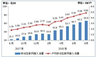 探索互聯(lián)網(wǎng)數(shù)據(jù)資訊中心與199it 專業(yè)互聯(lián)網(wǎng)數(shù)據(jù)服務(wù)的價(jià)值與前景